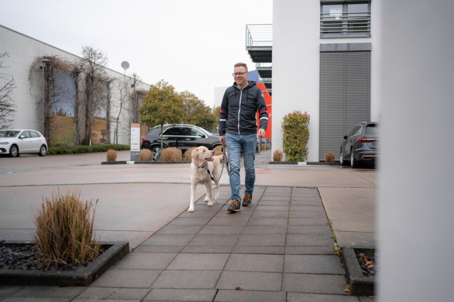 Spaziergang für Hund und Mensch
